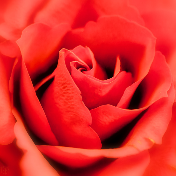 _DSC5755small1.jpg
