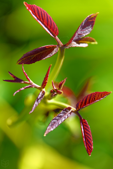 _1018035small1.jpg
