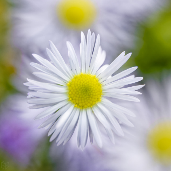 _1027072small1.jpg