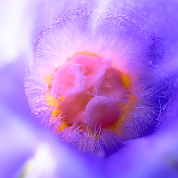 _DSC9412small008.jpg