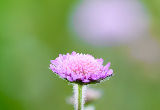  DSC0425small008
