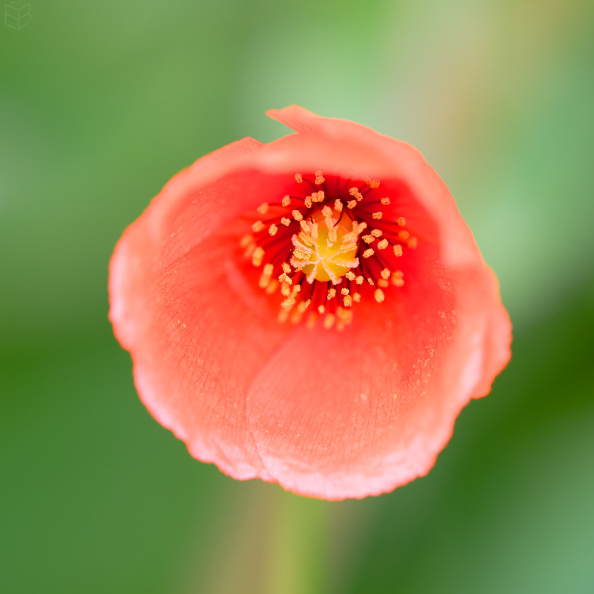 _DSC1837small009.jpg