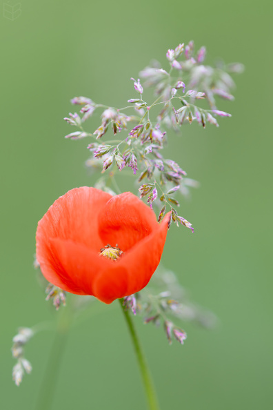 _DSC1857small009.jpg