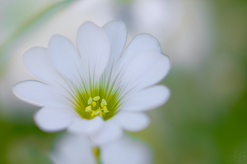 _DSC2607small009.jpg