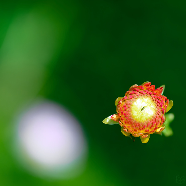 _DSC6349small00.jpg