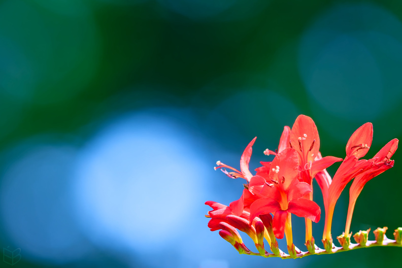 _DSC6402small00.jpg
