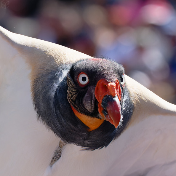 _DSC3107small00.jpg