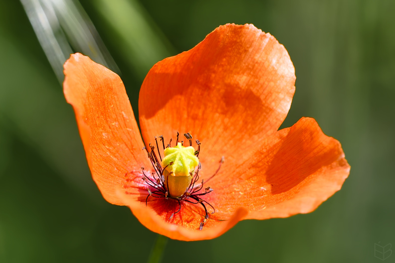 _DSC1605small1.jpg