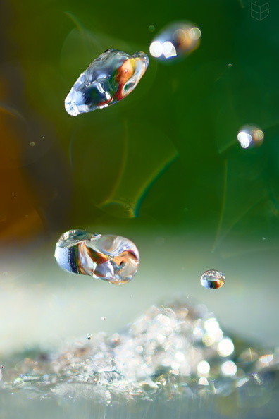 _DSC1999small111.jpg