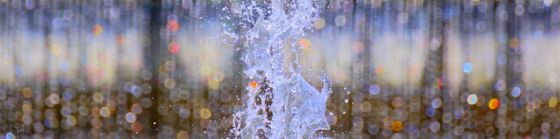 _DSC7430small111.jpg