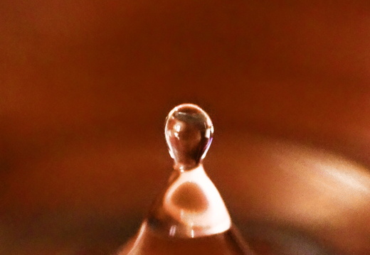 1021128small111