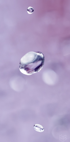 _DSC6241small1111.jpg