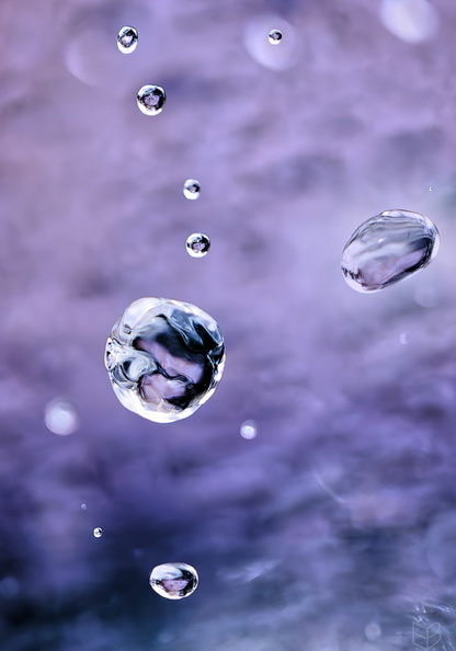 _DSC6249small1111.jpg