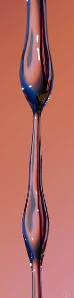 _DSC6879small111.jpg