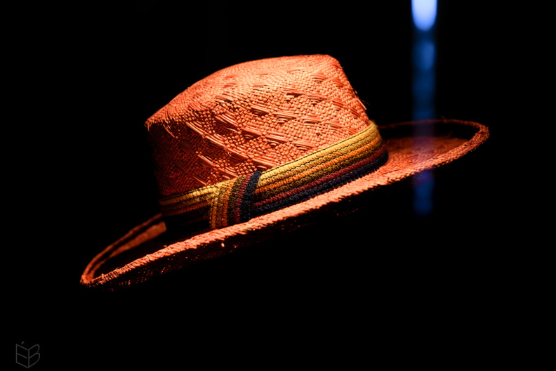 _DSC3340small111.jpg