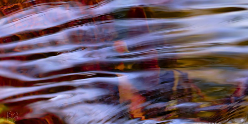 _DSC5631small111.jpg