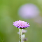  DSC0425small111