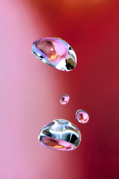 _DSC8380small111.jpg