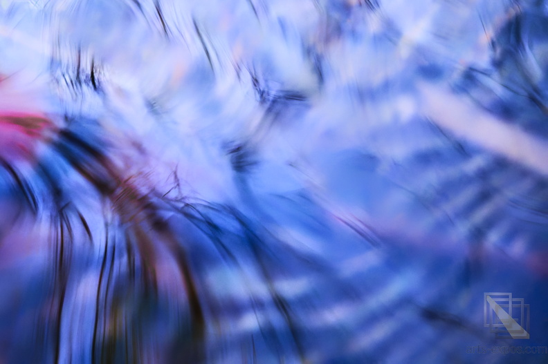 _DSC0791small123.jpg