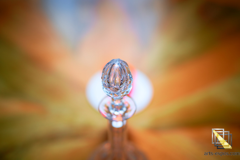 _DSC1951small123.jpg