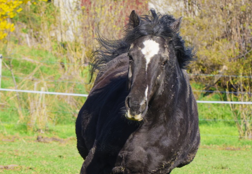  DSC3138small123