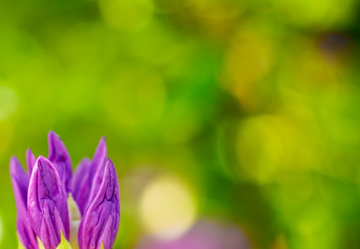 Belles couleurs