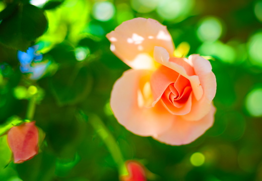 Belles couleurs