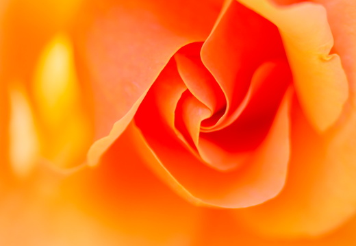 Belles couleurs