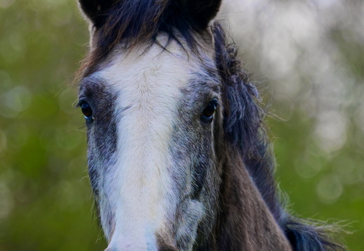 DSC 3550small111