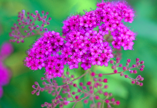 DSC 0831small1