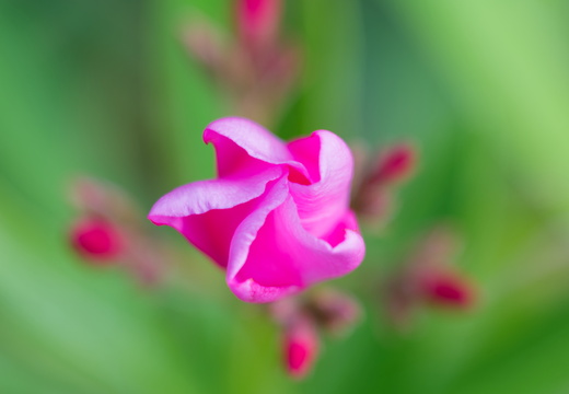 DSC 3568small1