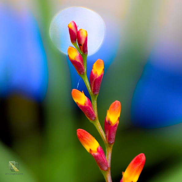 DSC_7841P01.jpg