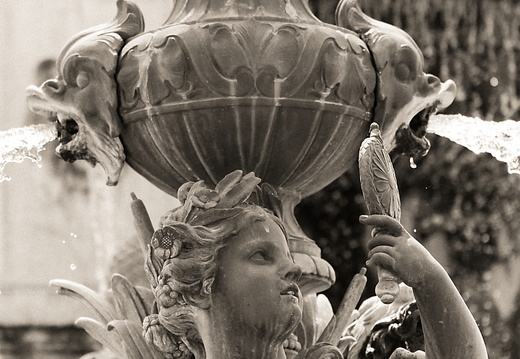 DSC 8395P02