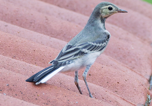 DSC 9227P02