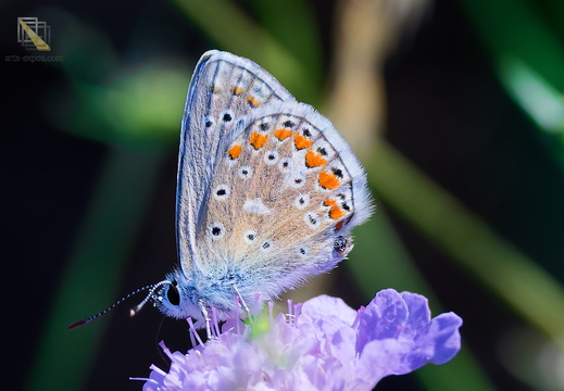 DSC 9474P02