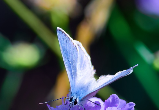 DSC 9478P02