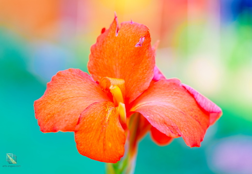 Belles couleurs