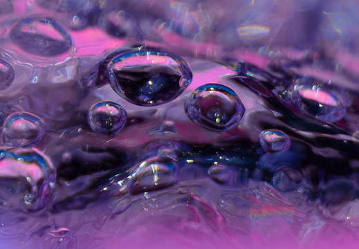DSC 6528P01