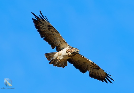 DSC 0075P02