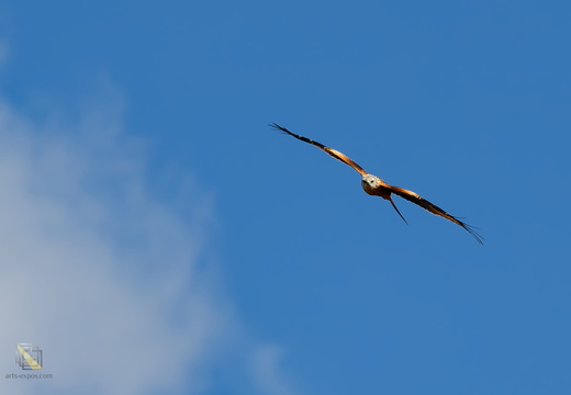 DSC 0464P02