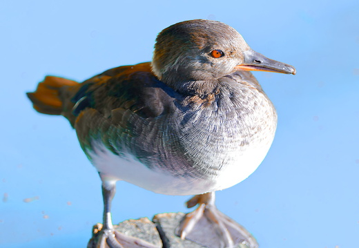 DSC 4824P02